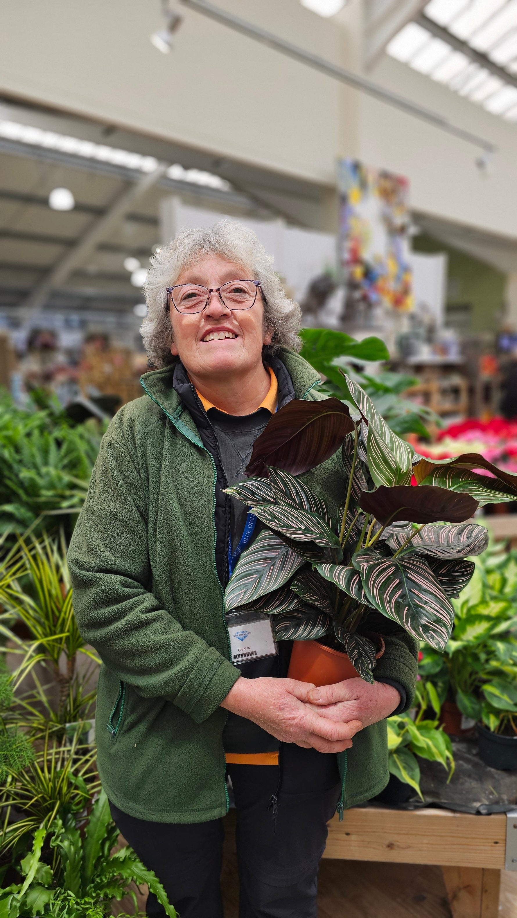 January: Let's Give Your Houseplants a New Year Reset