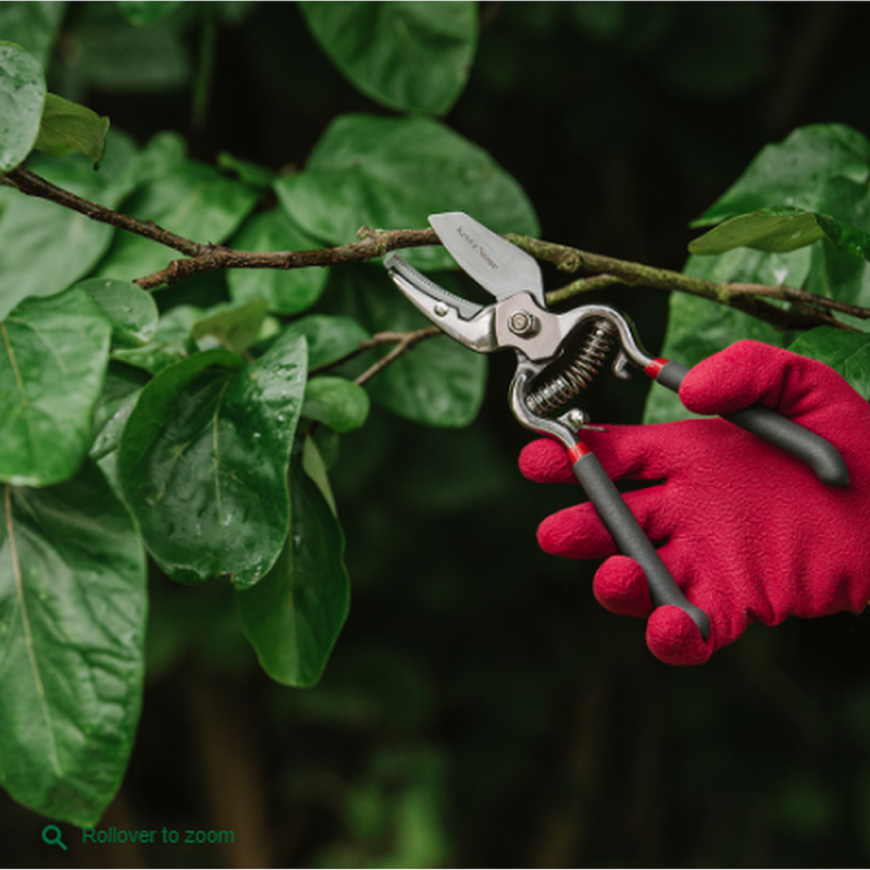 Traditional Anvil Secteurs