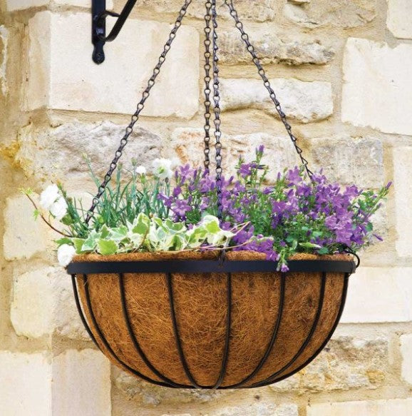 12" Saxon Hanging Basket