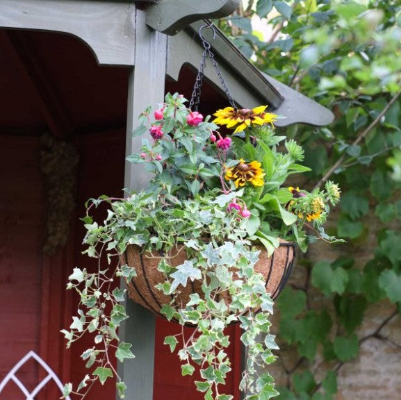 12" Smart Hanging Basket