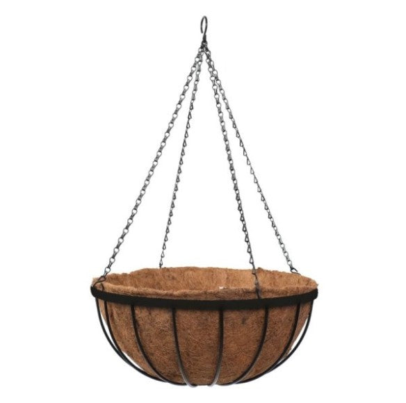 12" Saxon Hanging Basket