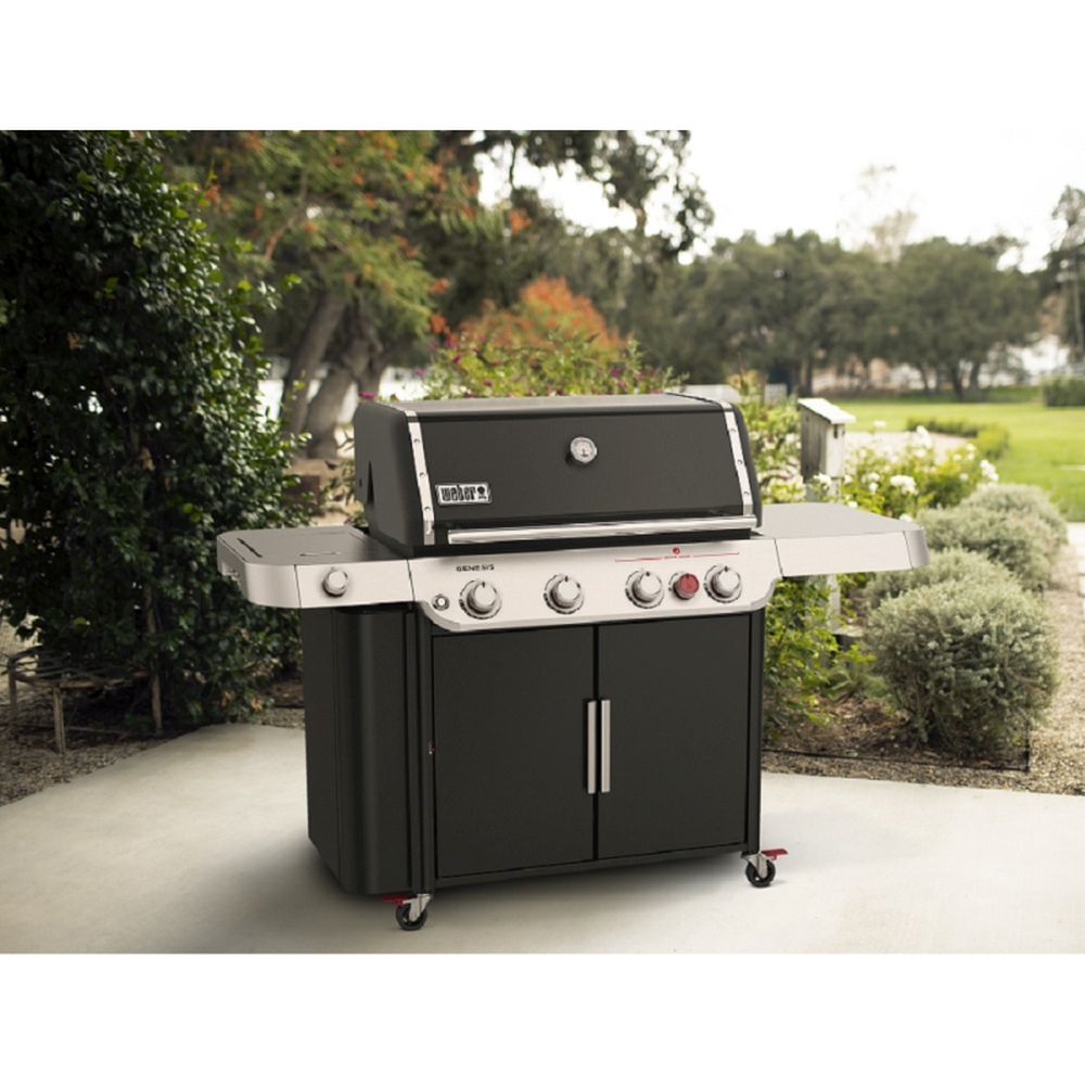 Weber Genesis E435