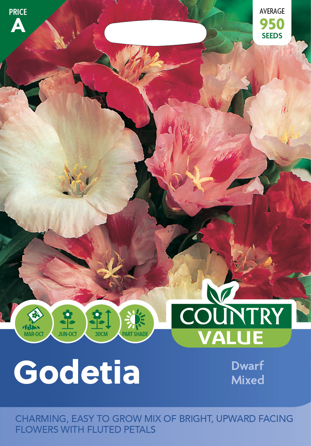 Godetia Dwarf Mixed Seeds