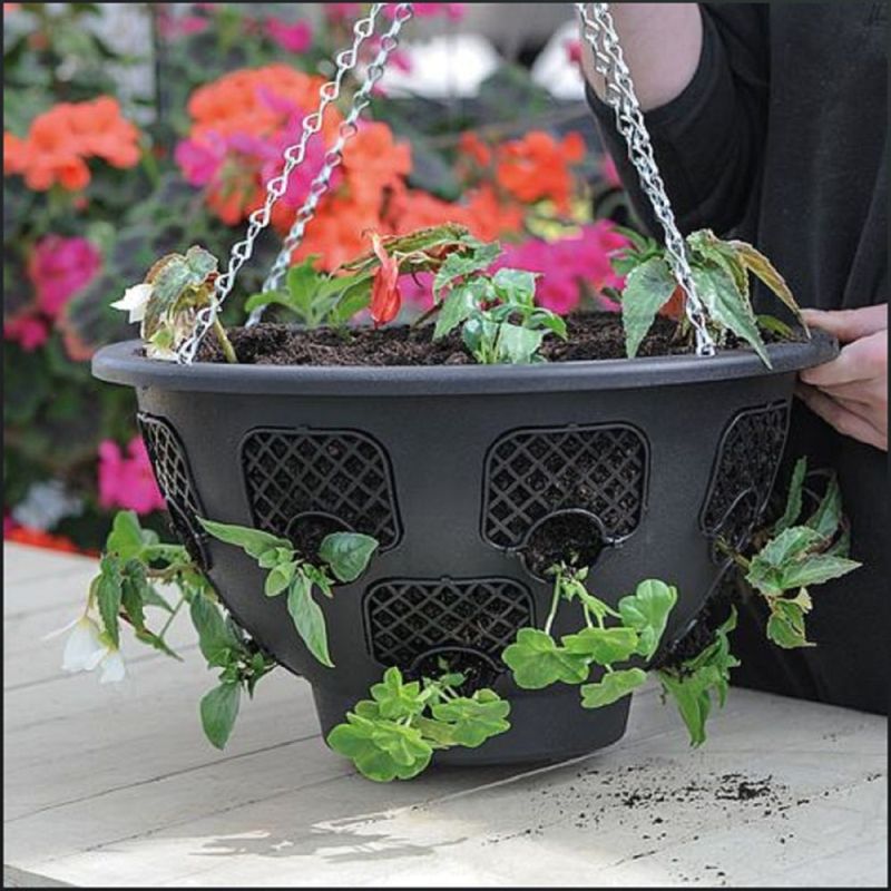 14" Easy Bloom Hanging Basket