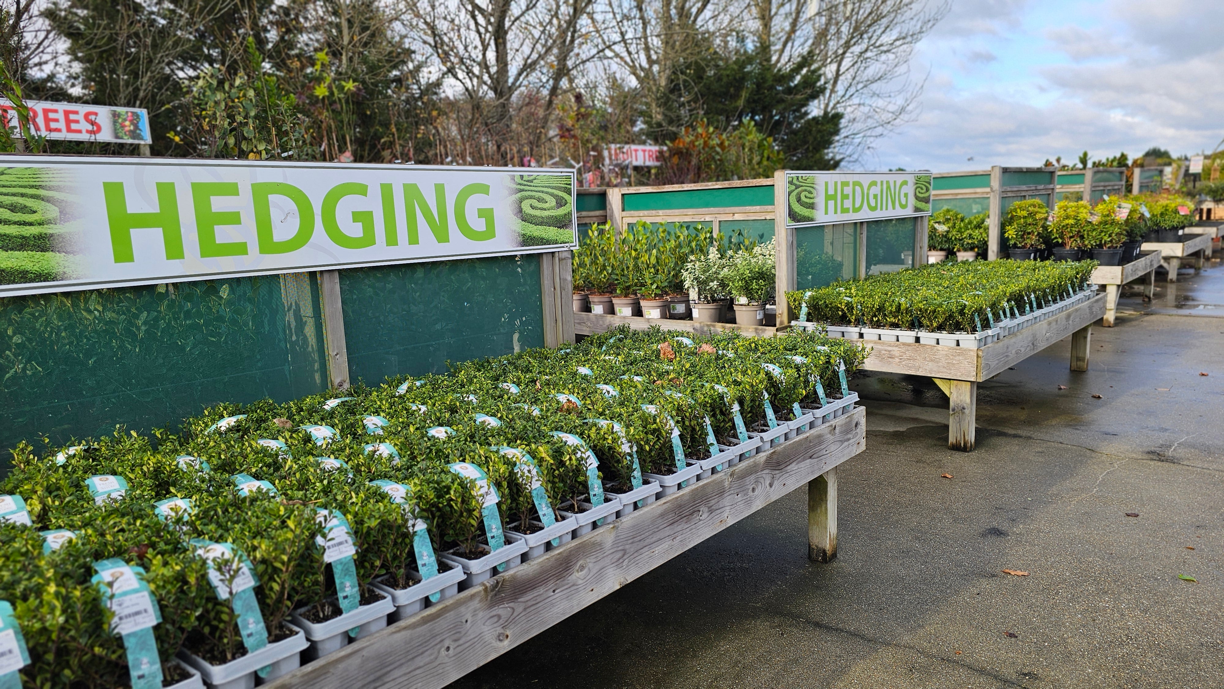 Plants & Gardening – Busy Bee Garden Centre