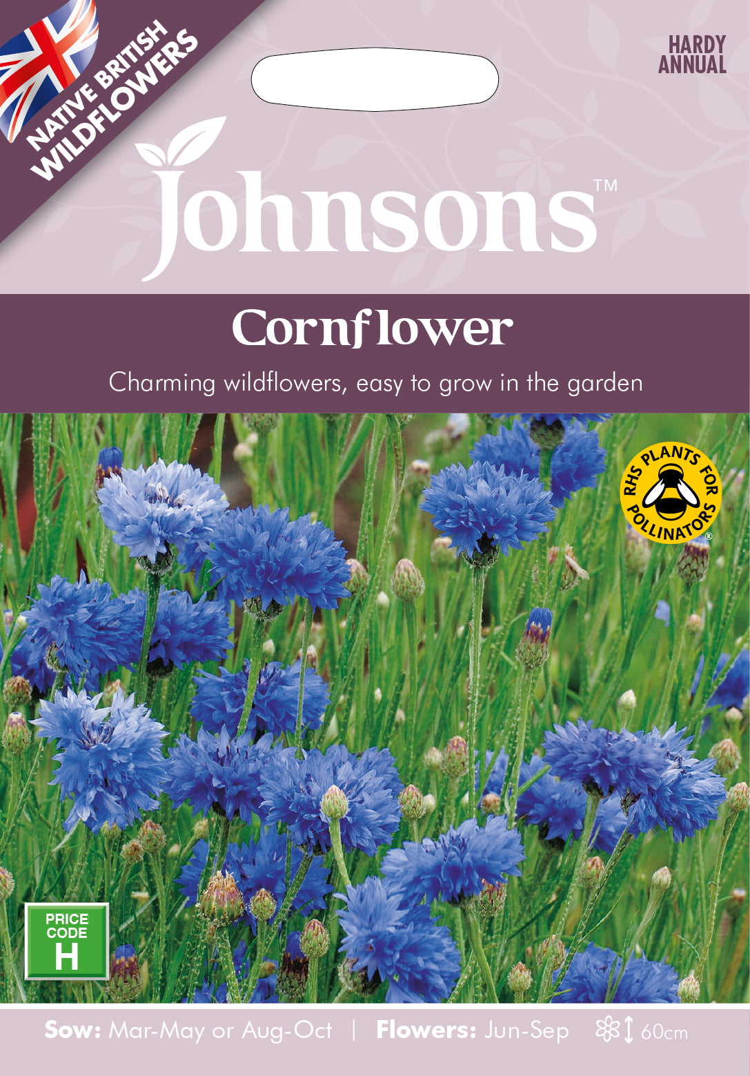 Wf Cornflower Seeds