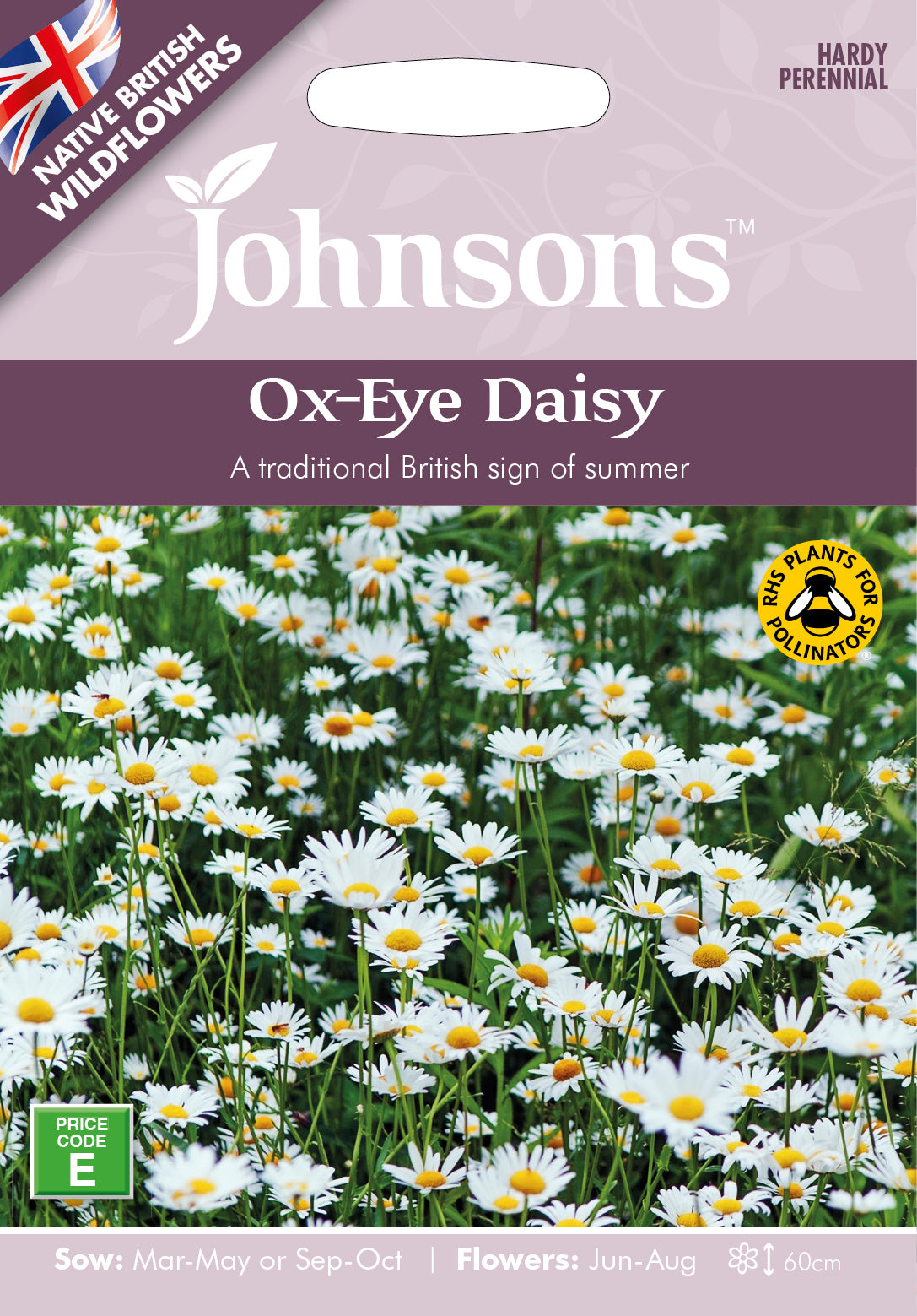 Wf Ox Eye Daisy Seeds