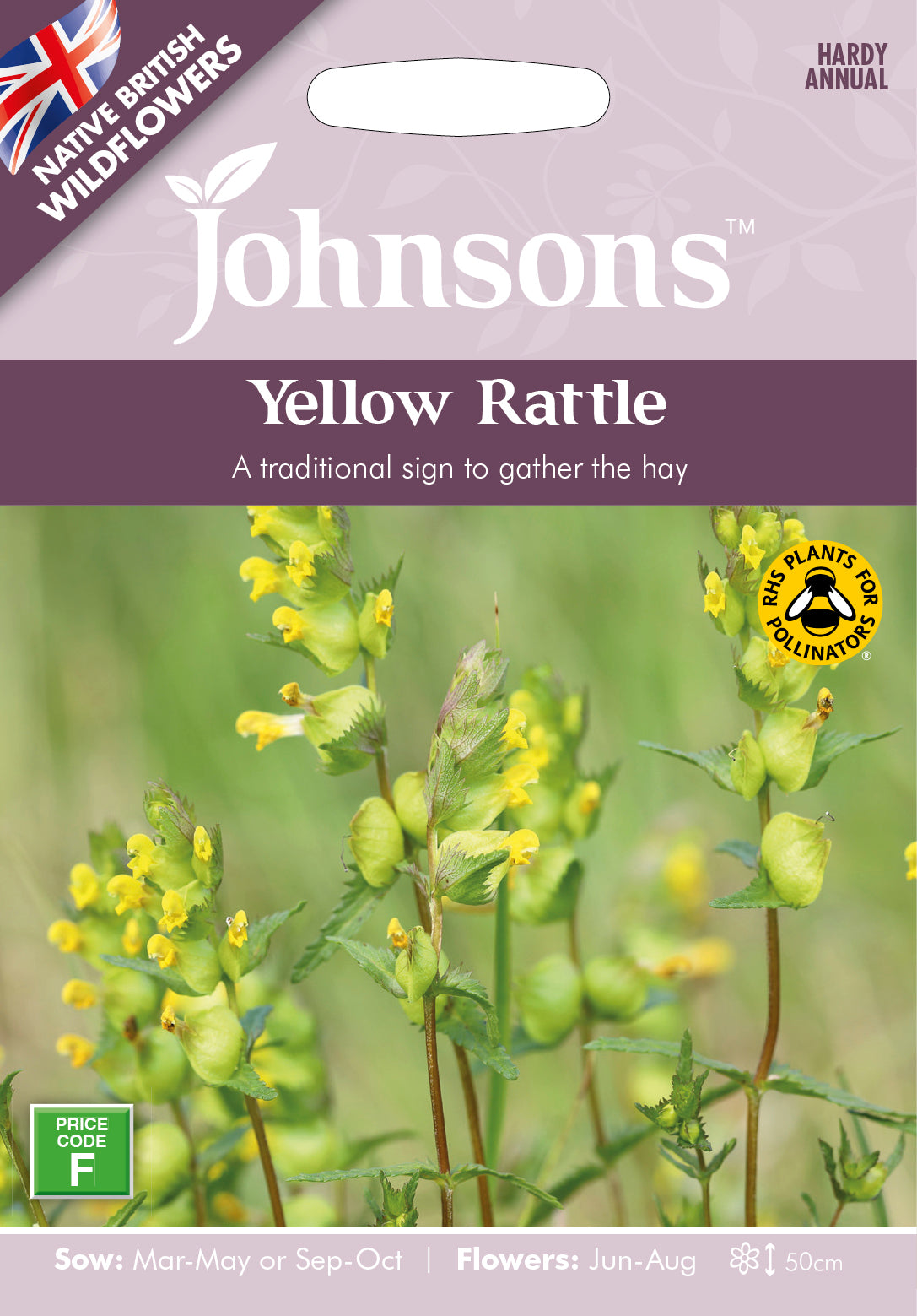 Wf Yellow Rattle