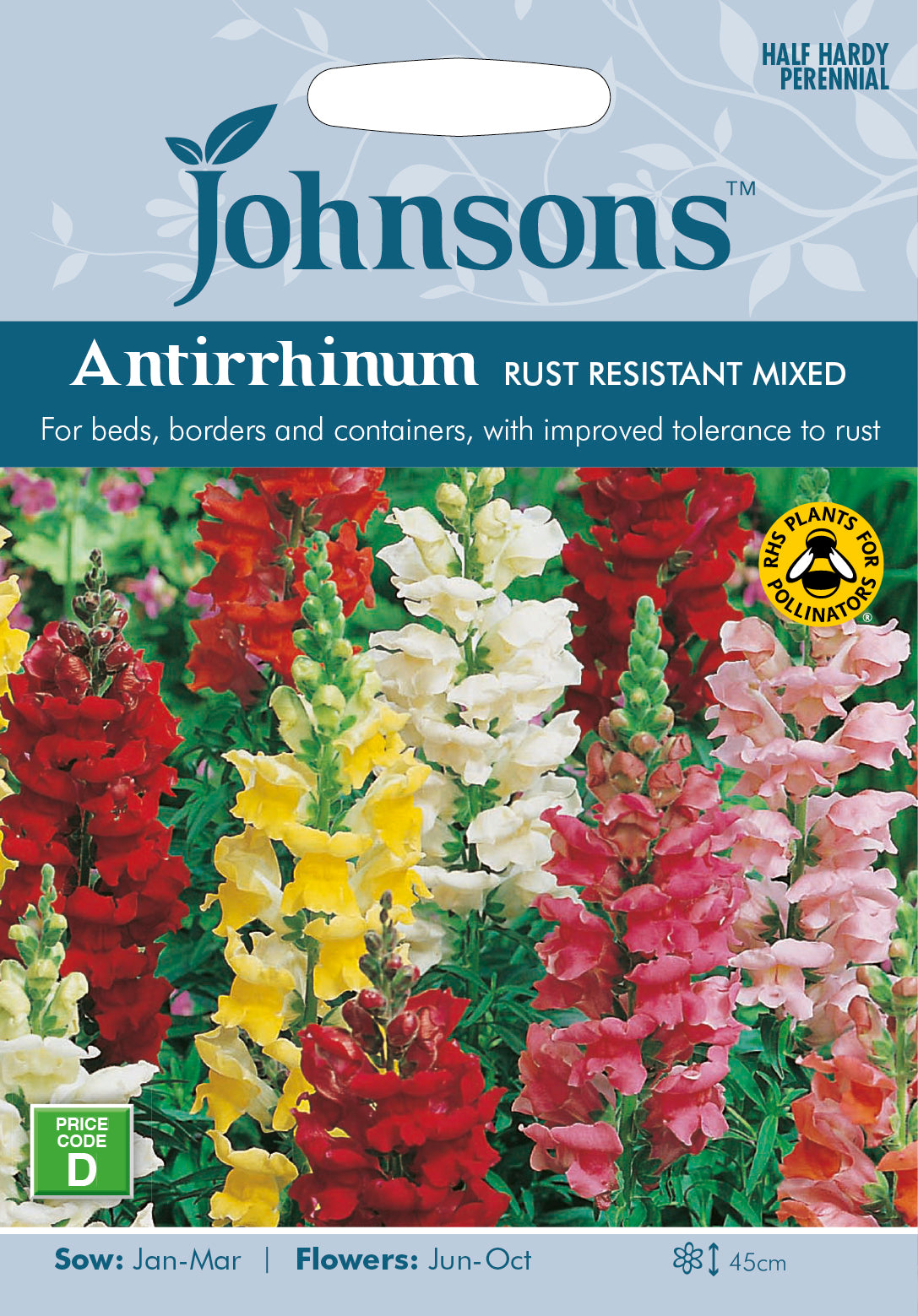 Antirrhinum Rust Resistant Mixed Seeds