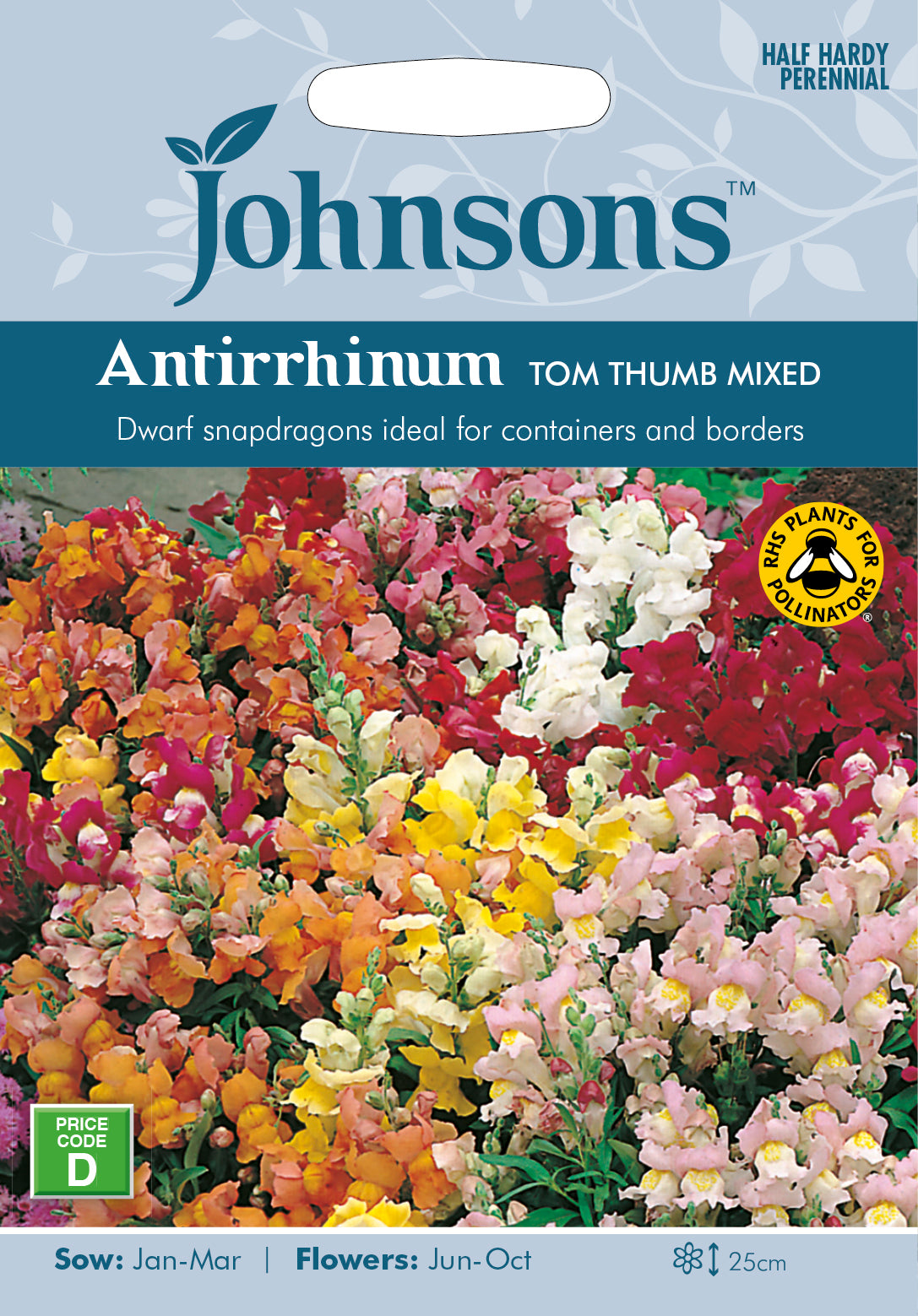 Antirrhinum Tom Thumb Mixed Seeds