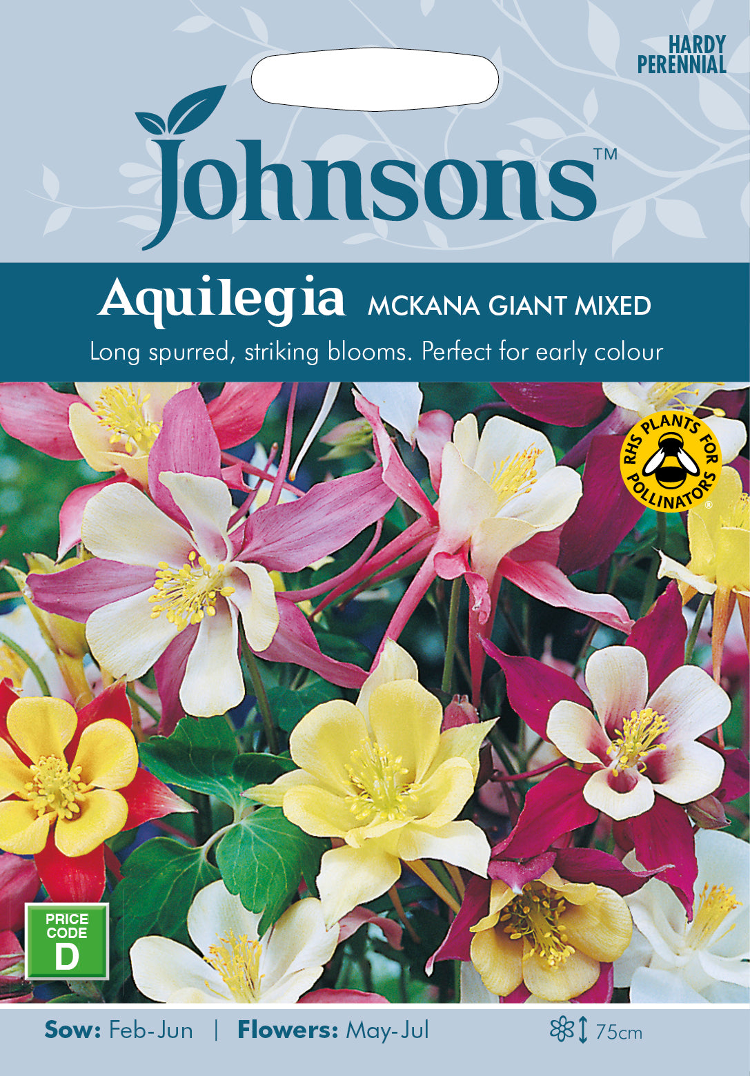 Aquilegia McKana Giant Mixed