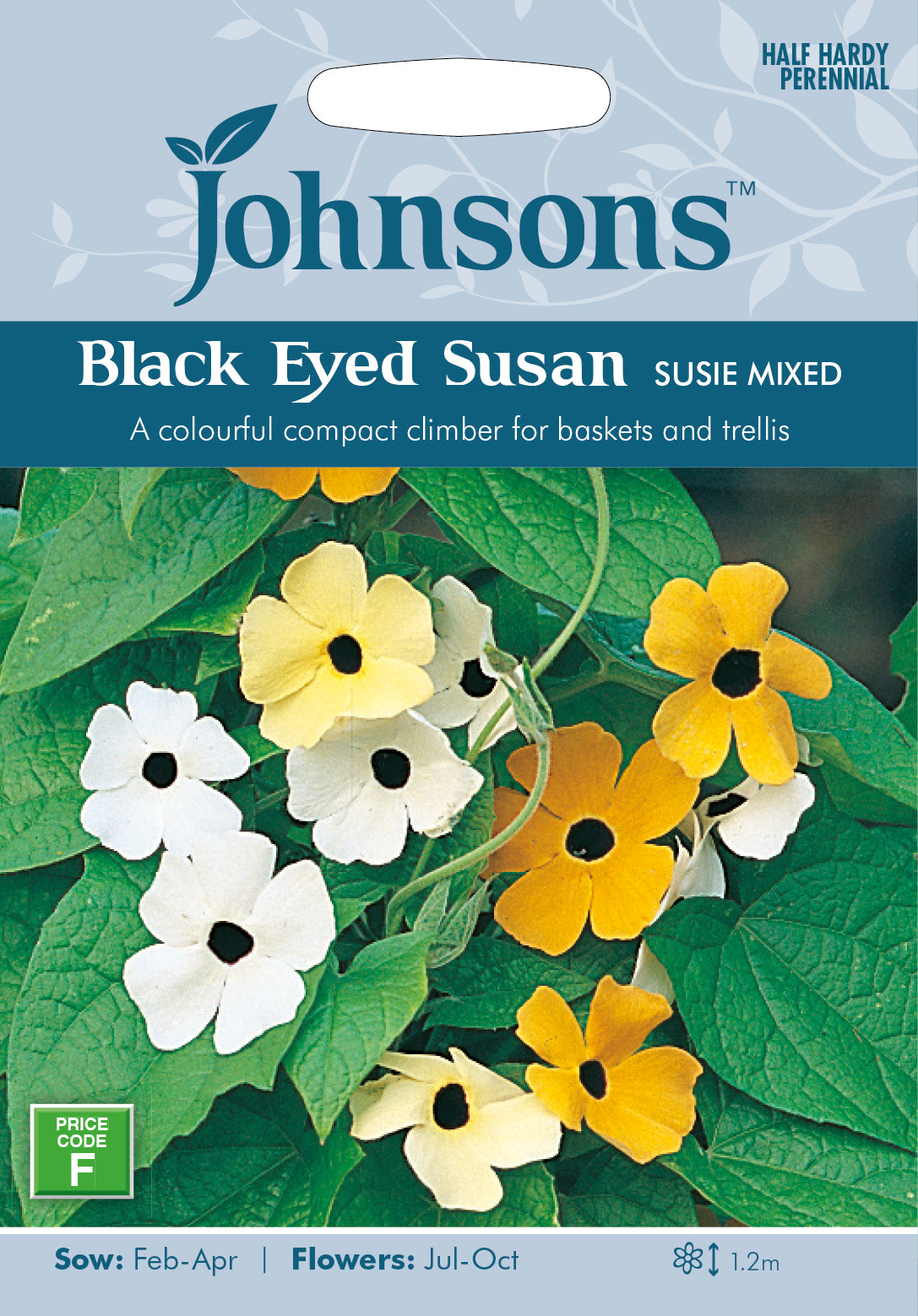 Black Eyed Susan Susie Mixed Seeds