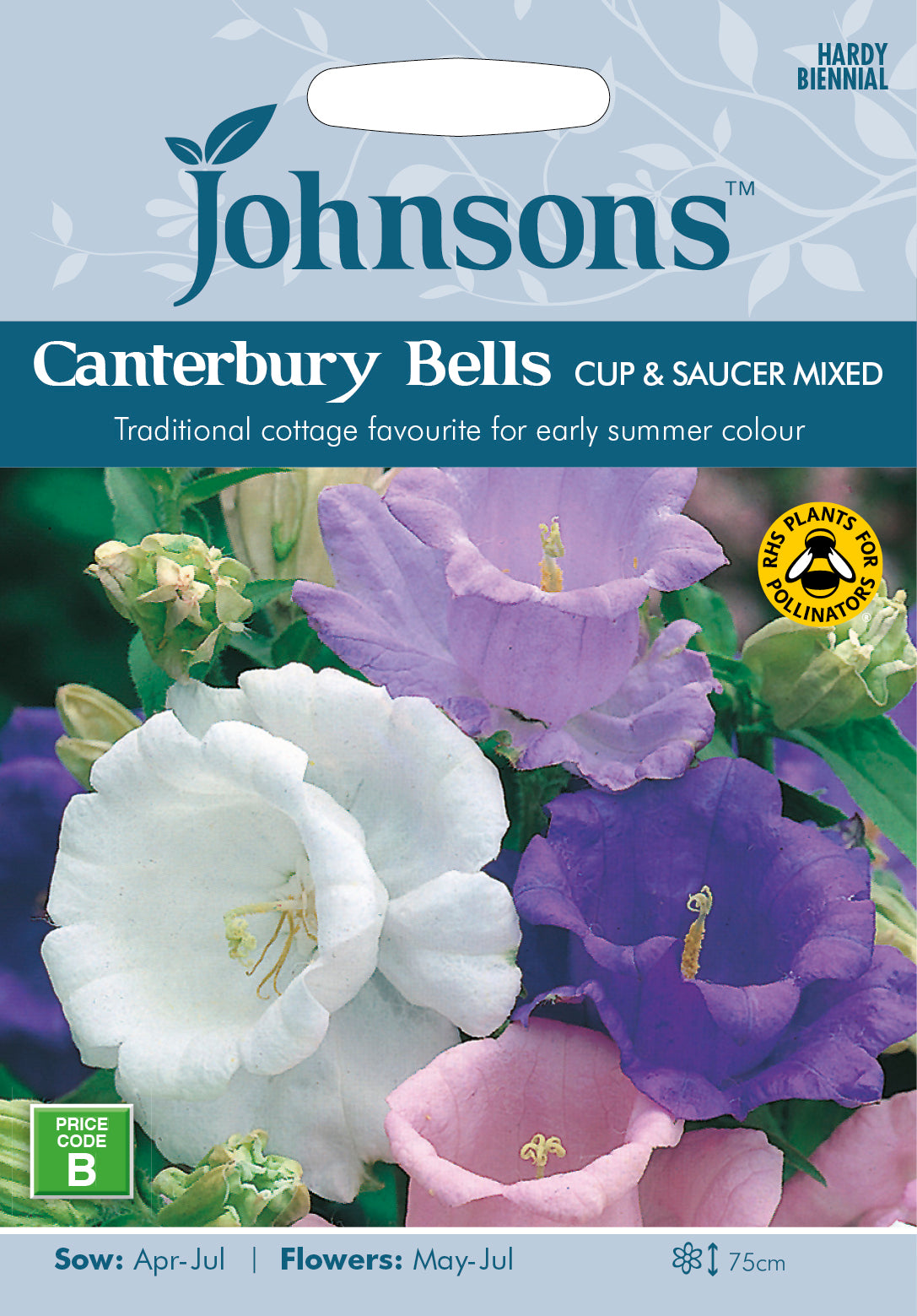 Canterbury Bells Cup & Saucer Mixed Seeds