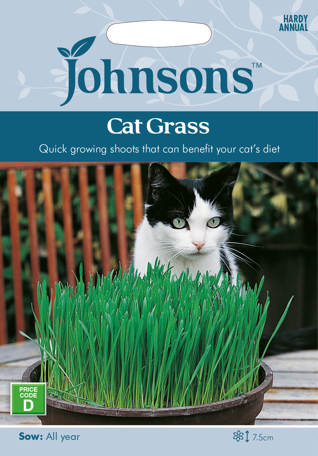 Cat Grass Avena Sativa Seeds