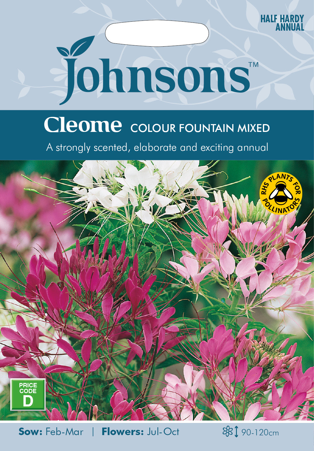 Cleome Colour Fountain Seeds