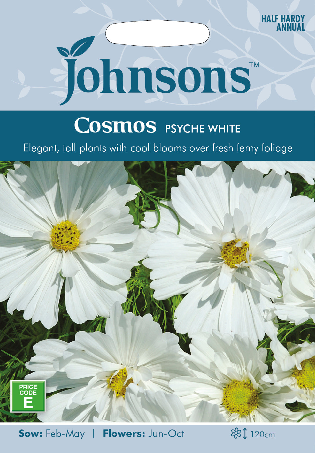 Cosmos Psyche White Seeds