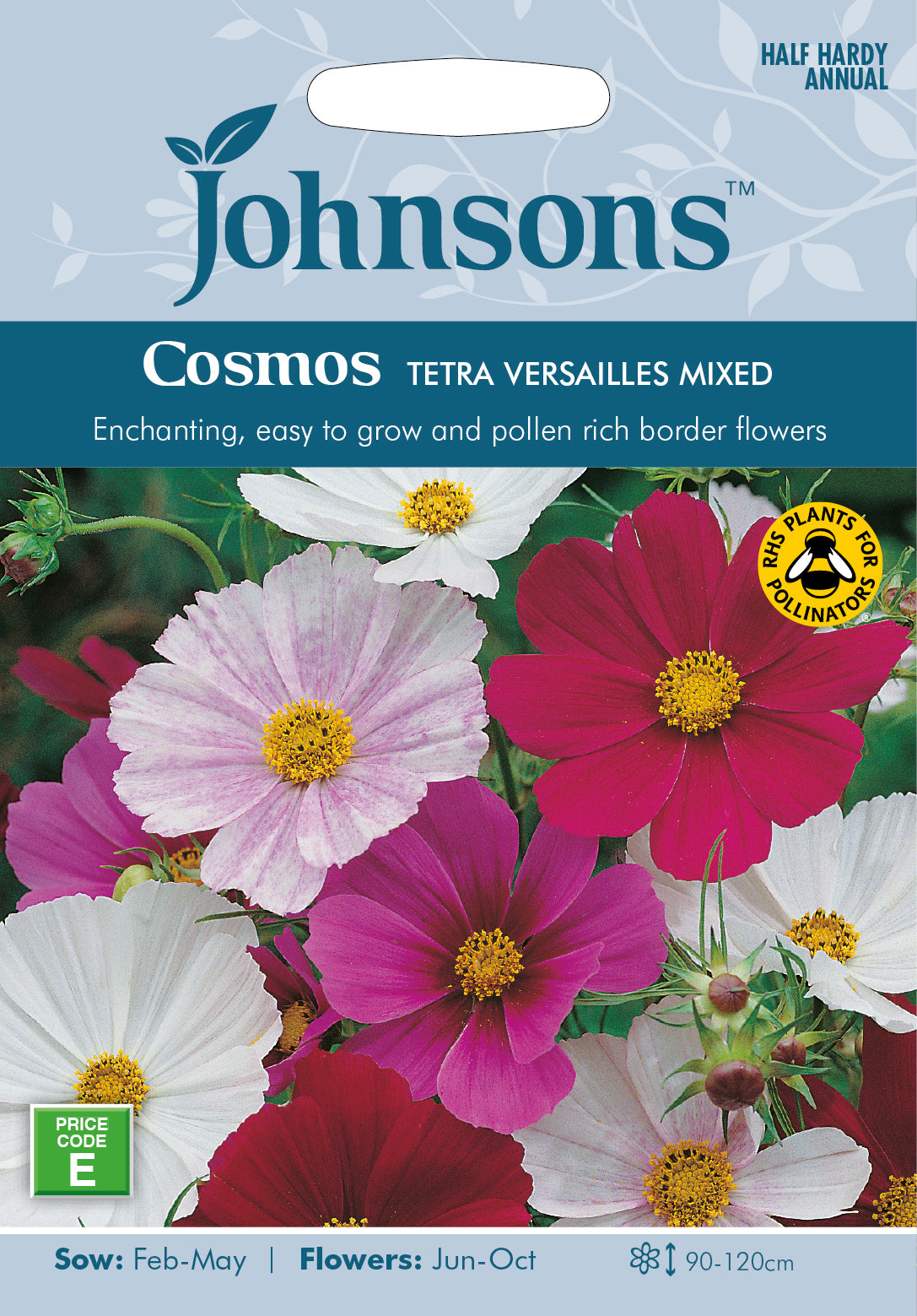 Cosmos Tetra Versailles Flush Seeds