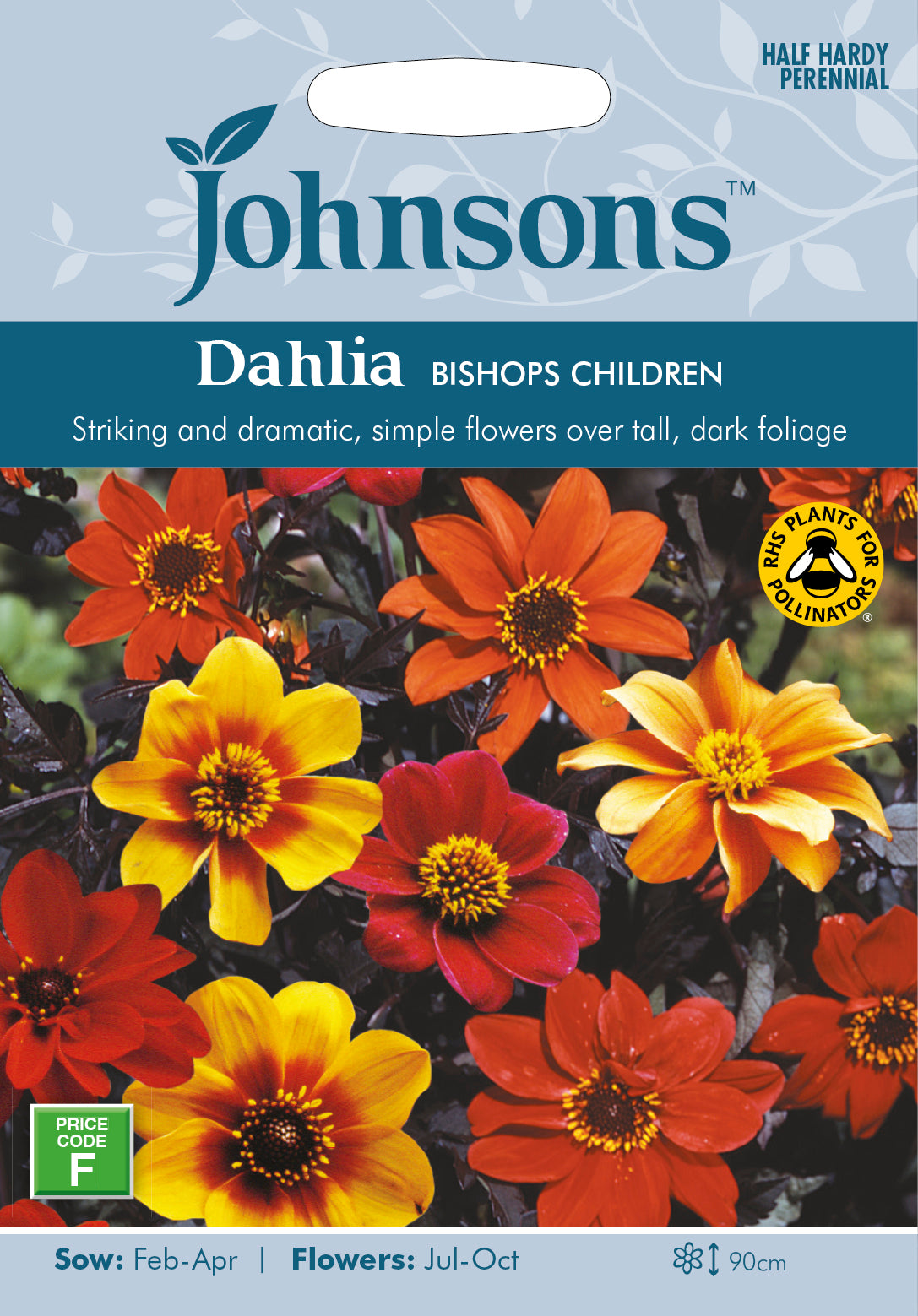 Dahlia Bishops Children Seeds