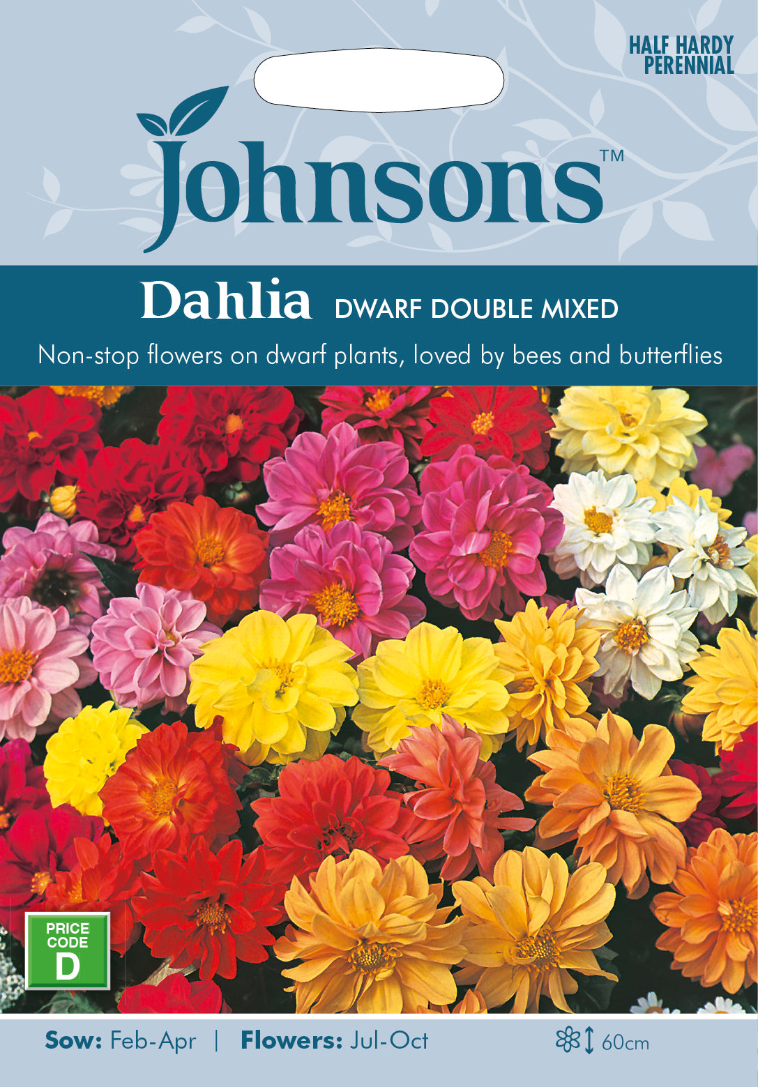 Dahlia Dwarf Double Mixed Seeds