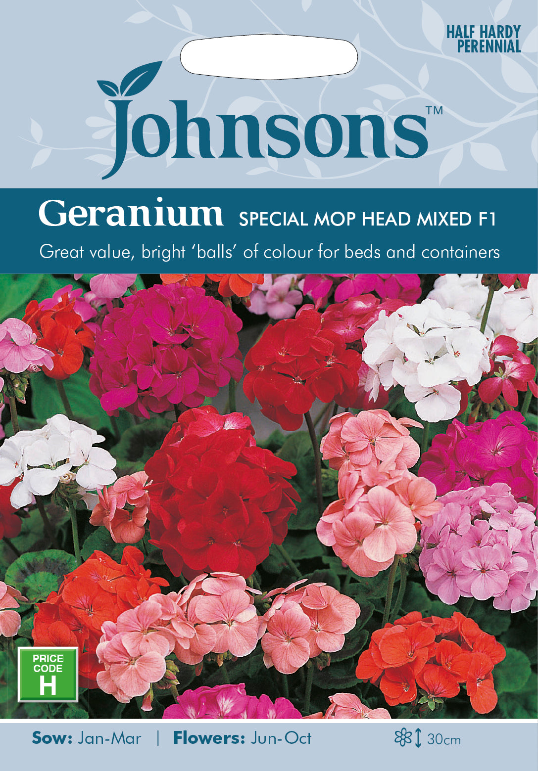 Geranium Mr F's Mophead Mixed F1 Seeds