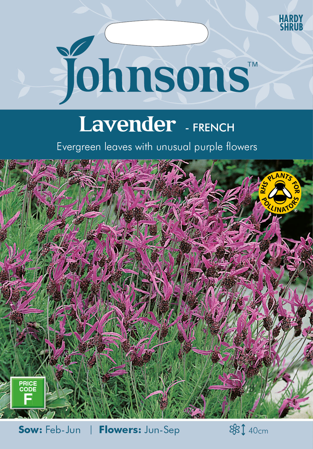 LAVENDER French Lavender Seeds