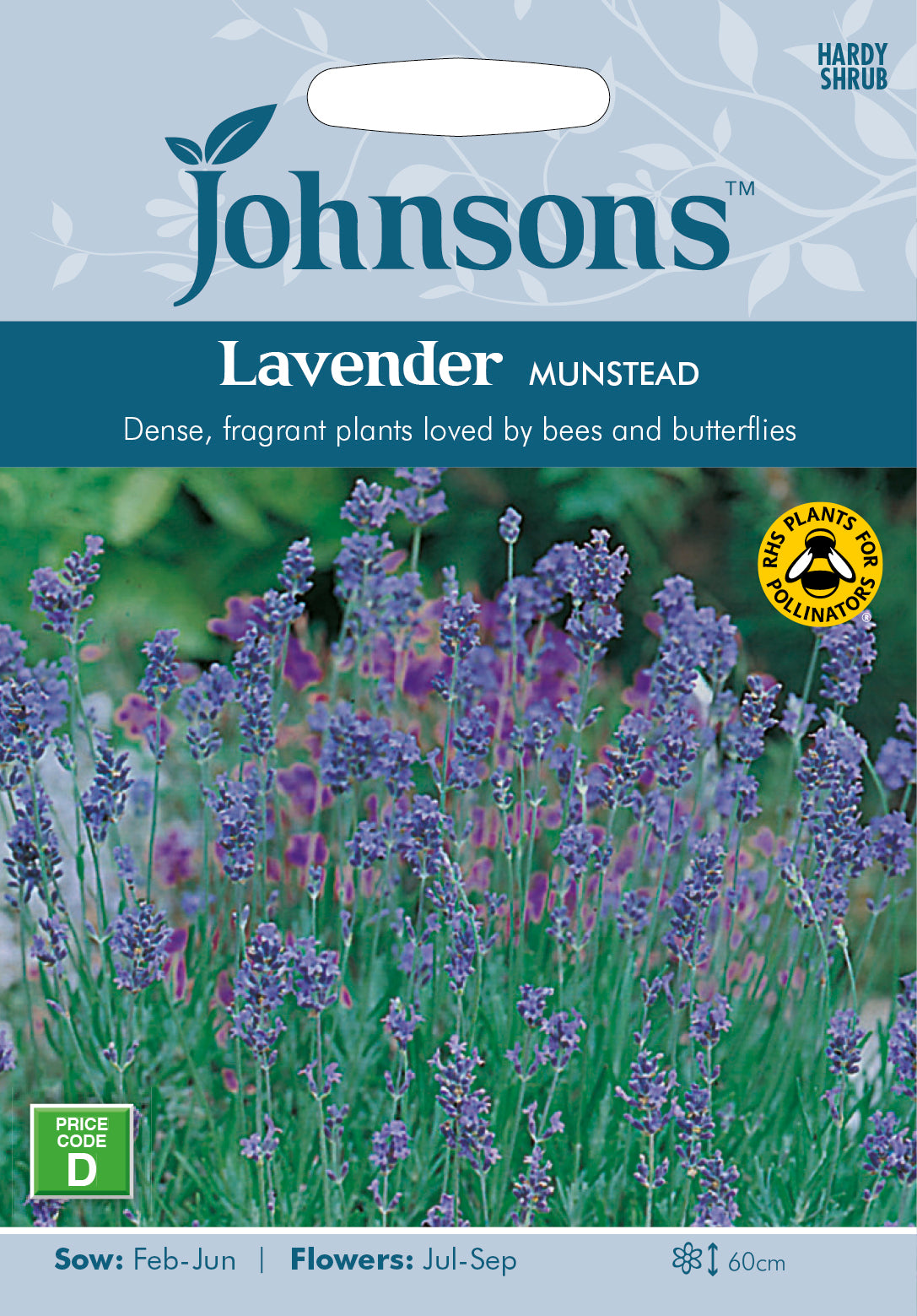 LAVENDER Munstead Strain seeds