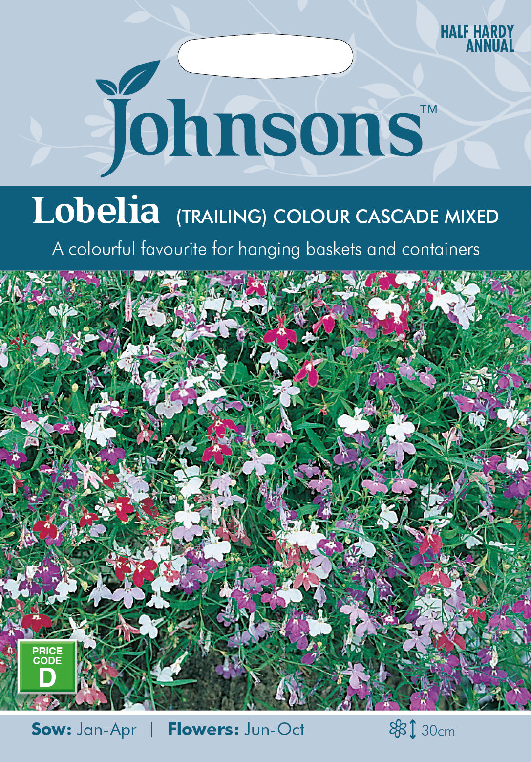 Lobelia Cascade Mixed