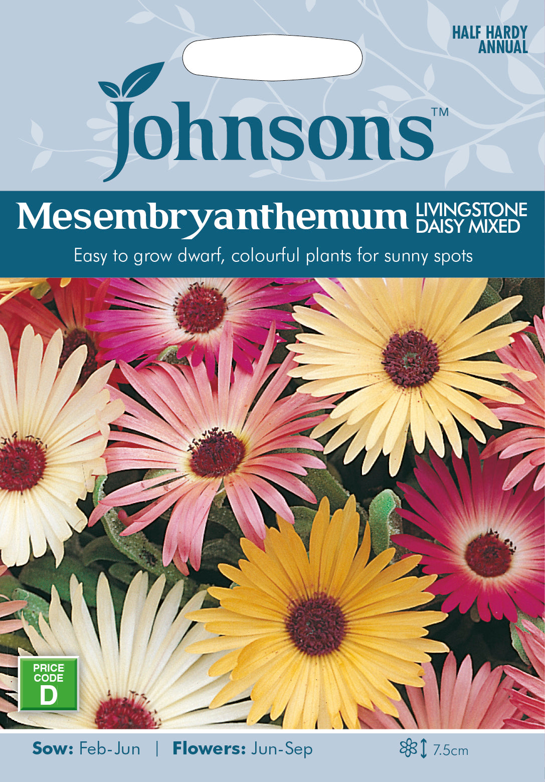 Mesembryanthemum Livingstone Daisy Mixed Seeds