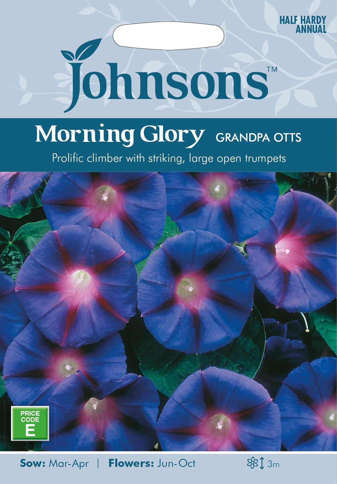 Morning Glory Grandpas Seed