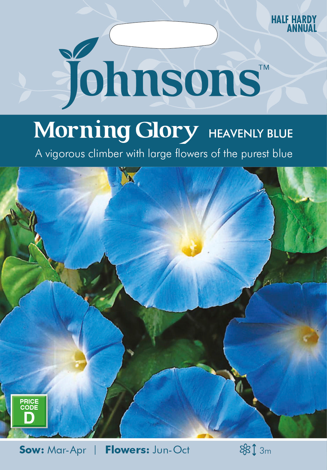 Morning Glory Heavenly Blue Seeds