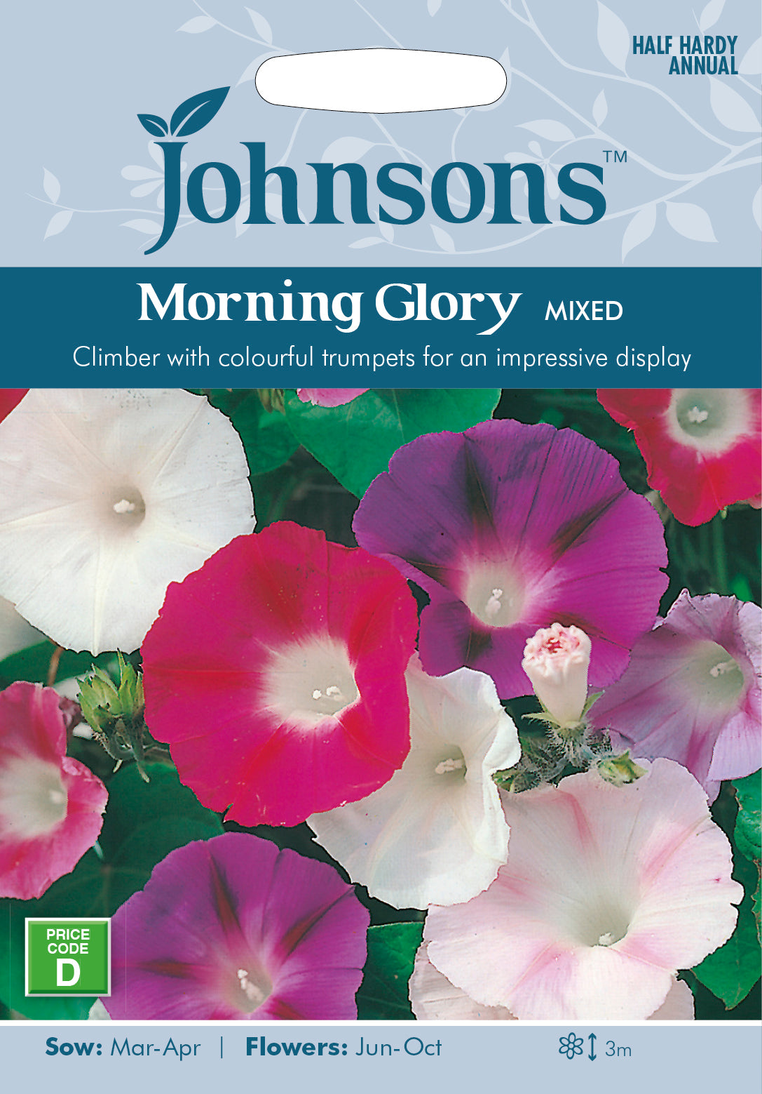 Morning Glory Choice Mixed Seeds