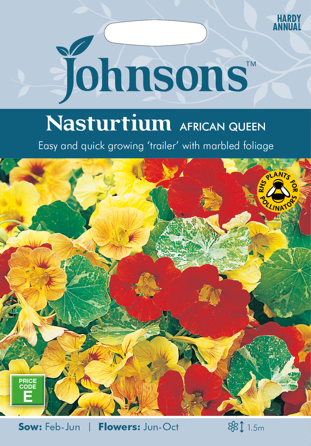 Nasturtium (trailing) African Queen