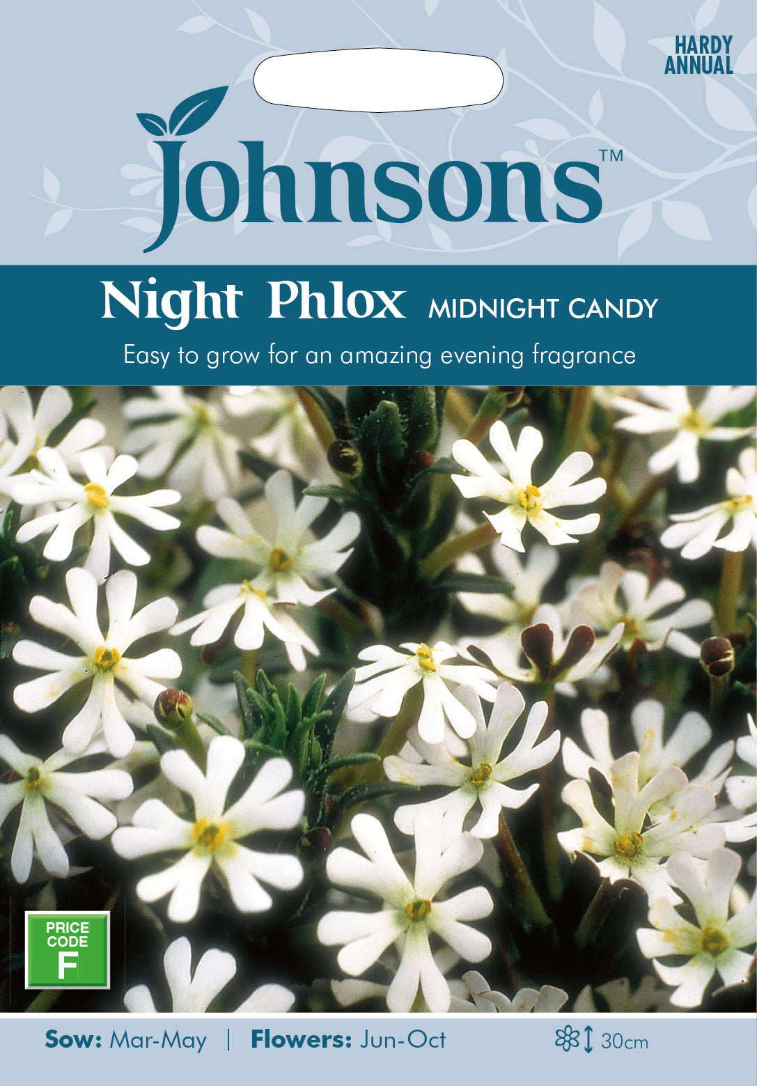 Night Phlox Midnight Candy Seeds