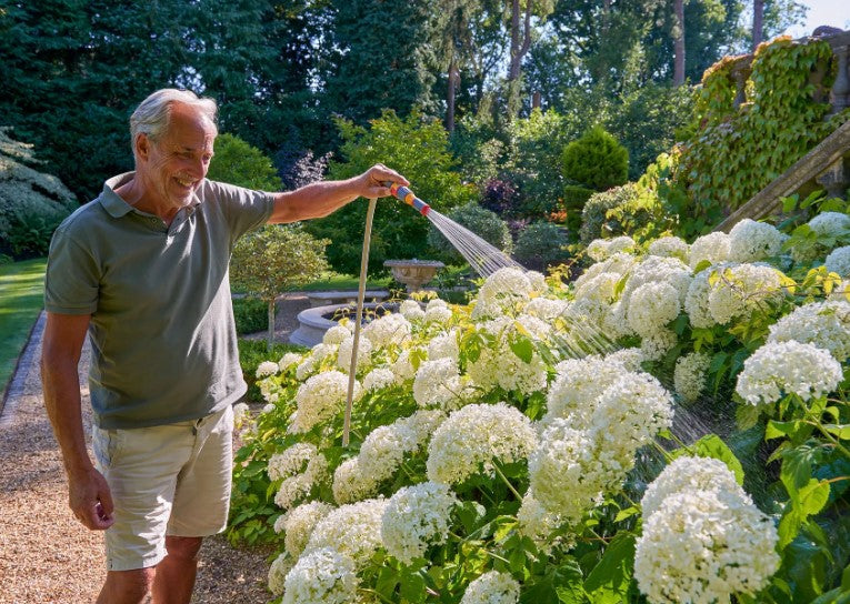 3-in-1 Nozzle Plus