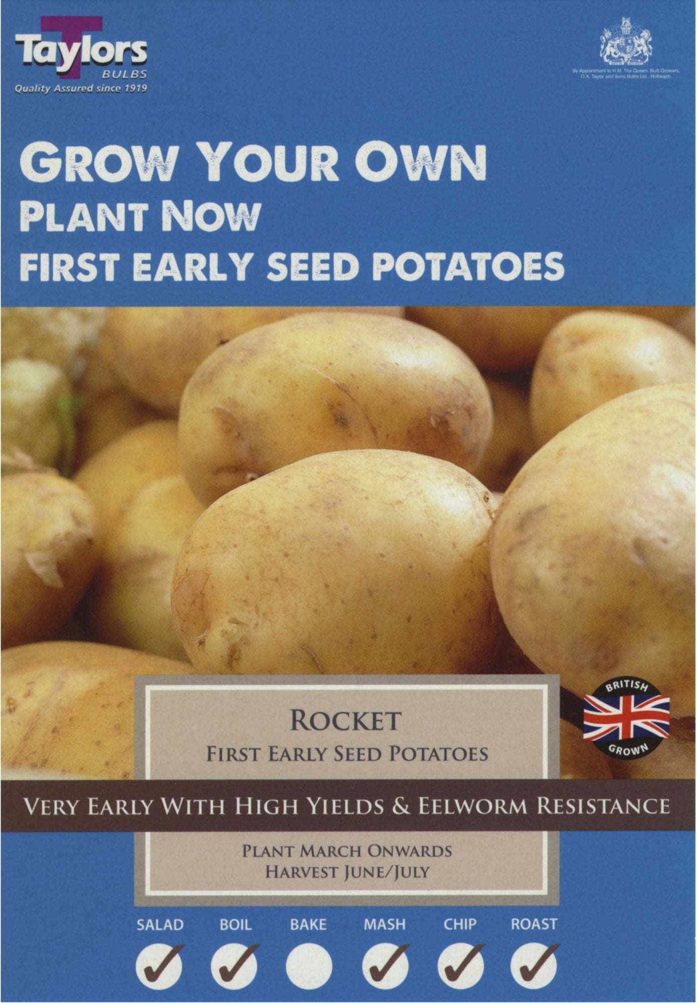 10 Rocket Potatoes