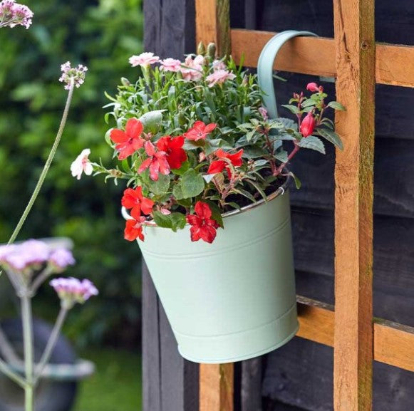 6" Fence & Balcony Hanging Pot - Sage