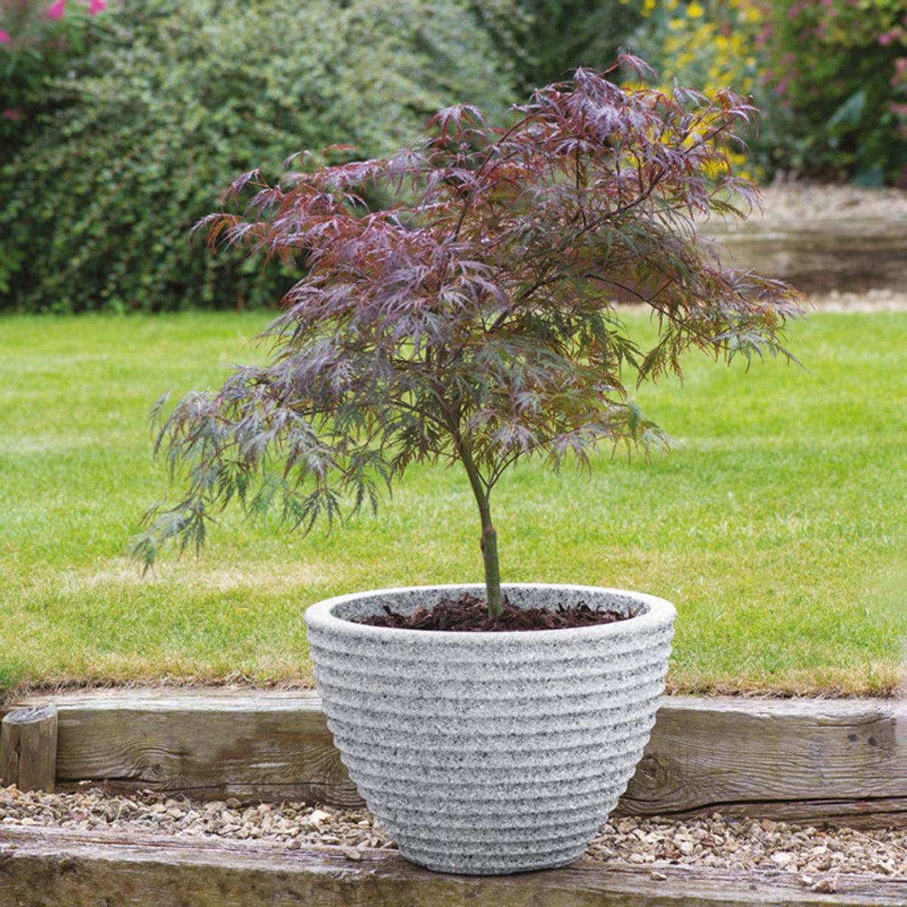 37cm Alpine Grey Low Honey Pot