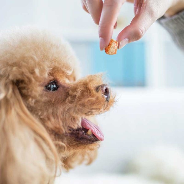 Yak Popcorn with Carrot