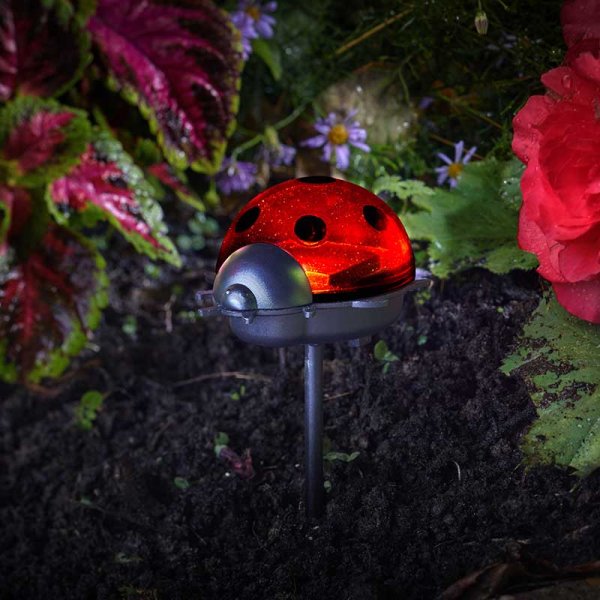 Solar Ladybird Stake - Triple Pack