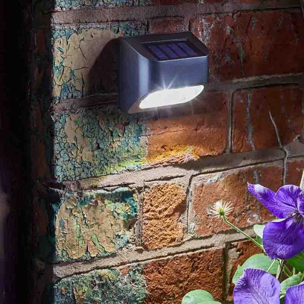 Premier Fence, Wall & Post Light 10L