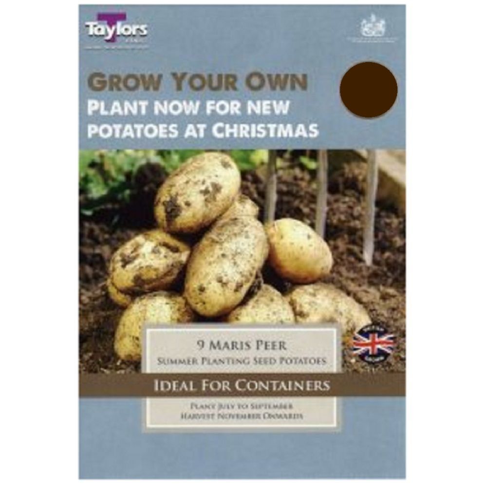 Autumn Seed Potatoes Maris Peer