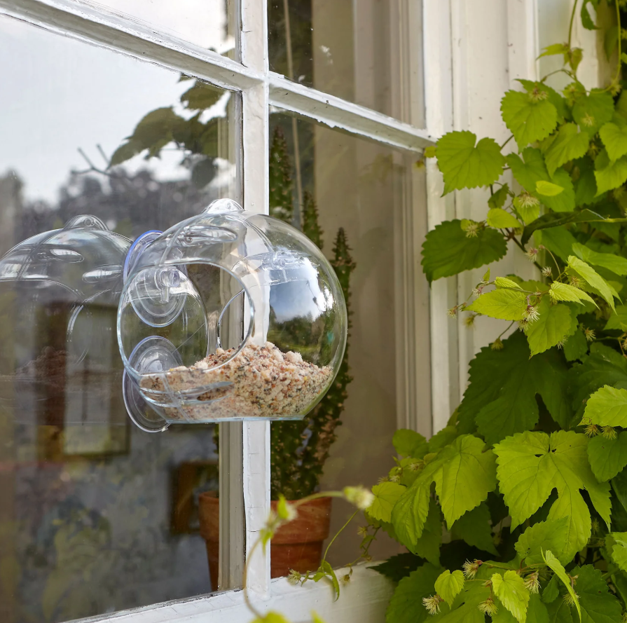 PK Globe Window Feeder