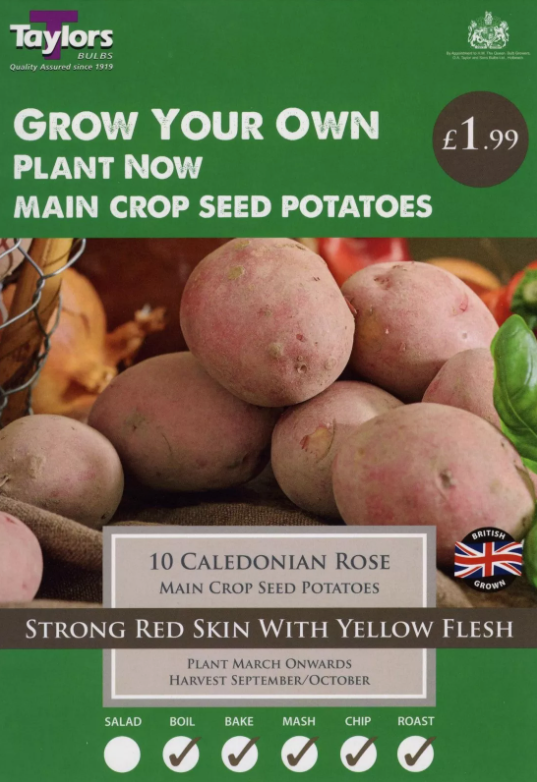 10 Caledonian Rose Seed Potatoes