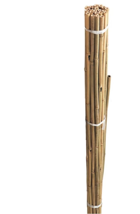 90cm (3ft) Bamboo Canes