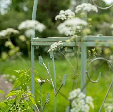 Woodland Arch Sage