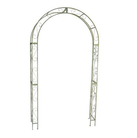 Woodland Arch Sage
