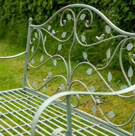 Woodland Bench Sage