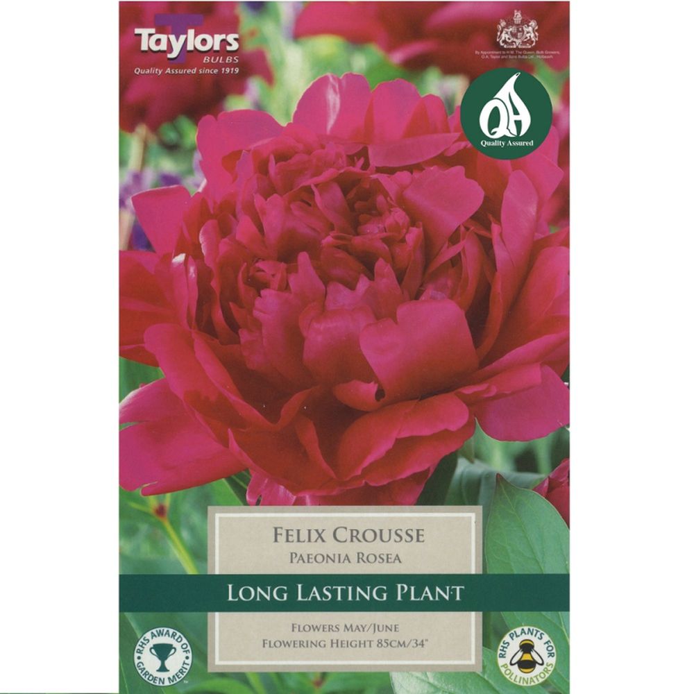 Paeonia Rosea Felix Crousse