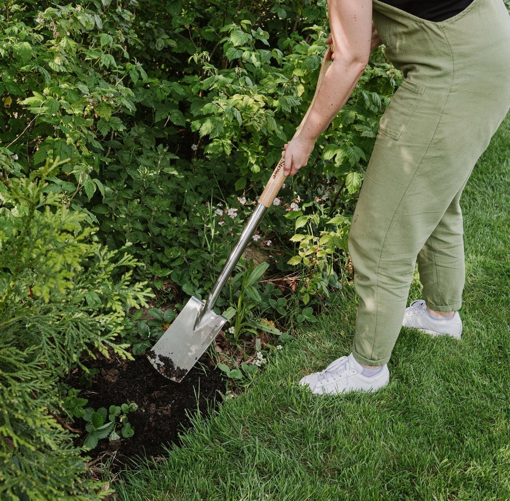 Border Spade Stainless Steel