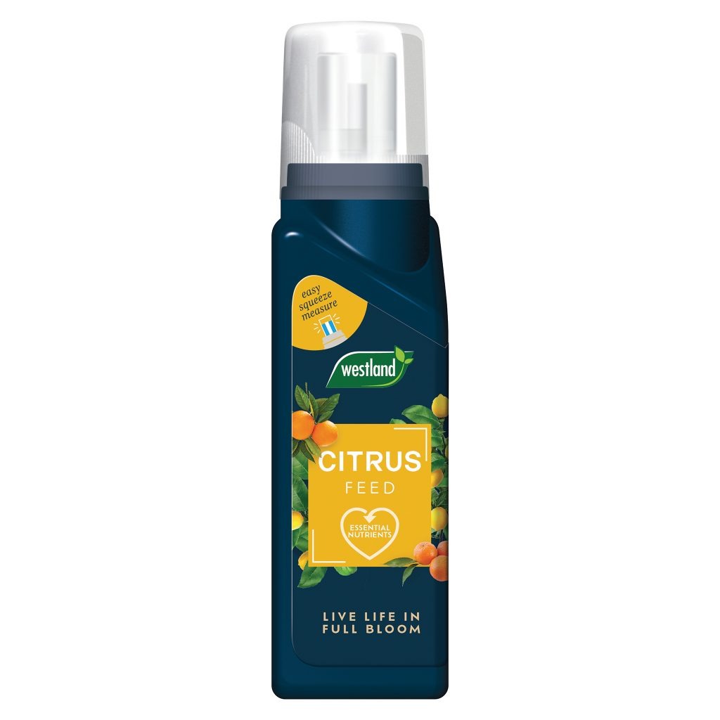 Citrus Feed 200ml